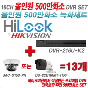 [올인원-5M] DVR216UK2 16CH + 주연전자/하이크 500만화소 올인원 카메라 13개세트 (실내형3.6mm/실외형2.8mm출고)